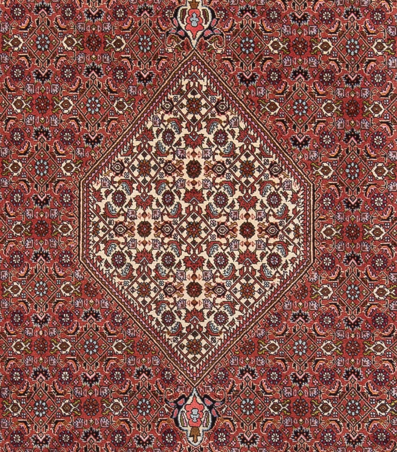 Persisk tæppe - Bijar - Royal - 343 x 247 cm - rust