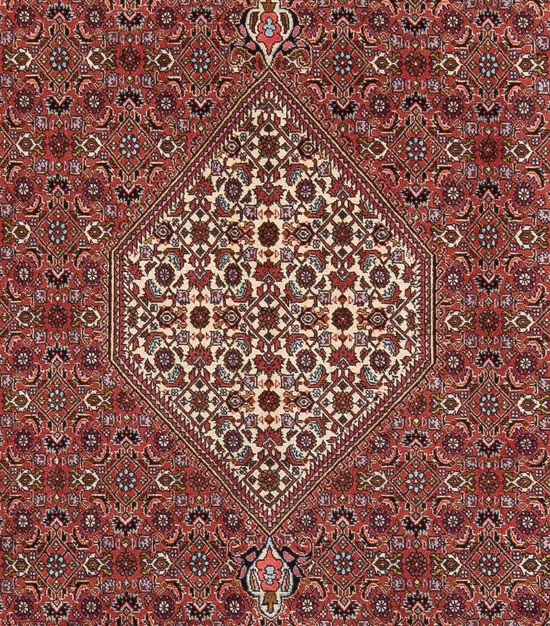 Persisk tæppe - Bijar - Royal - 343 x 247 cm - rust