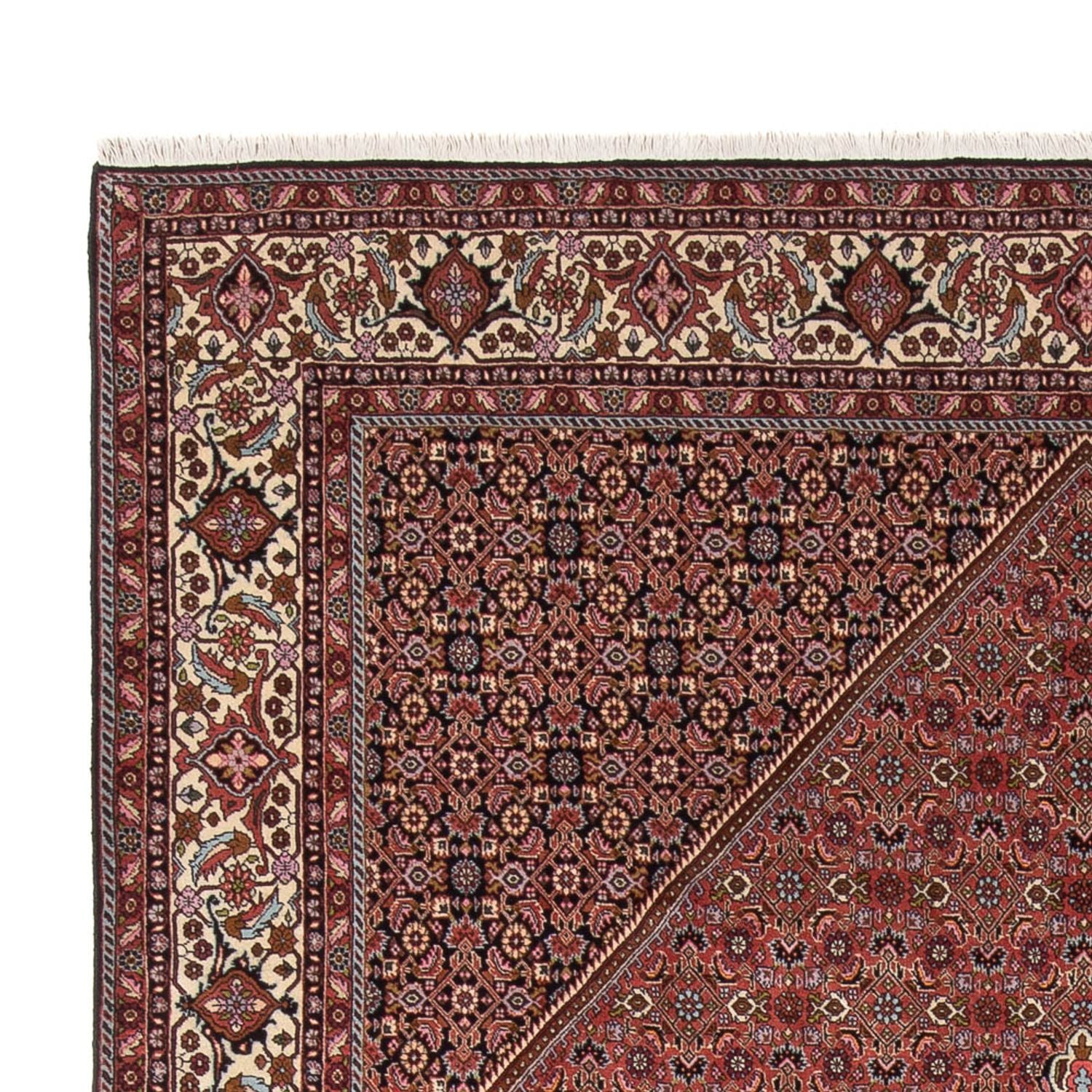 Persisk tæppe - Bijar - Royal - 343 x 247 cm - rust