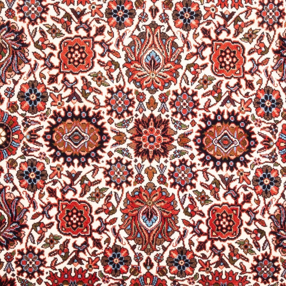 Persisk tæppe - Bijar - Royal - 172 x 108 cm - creme