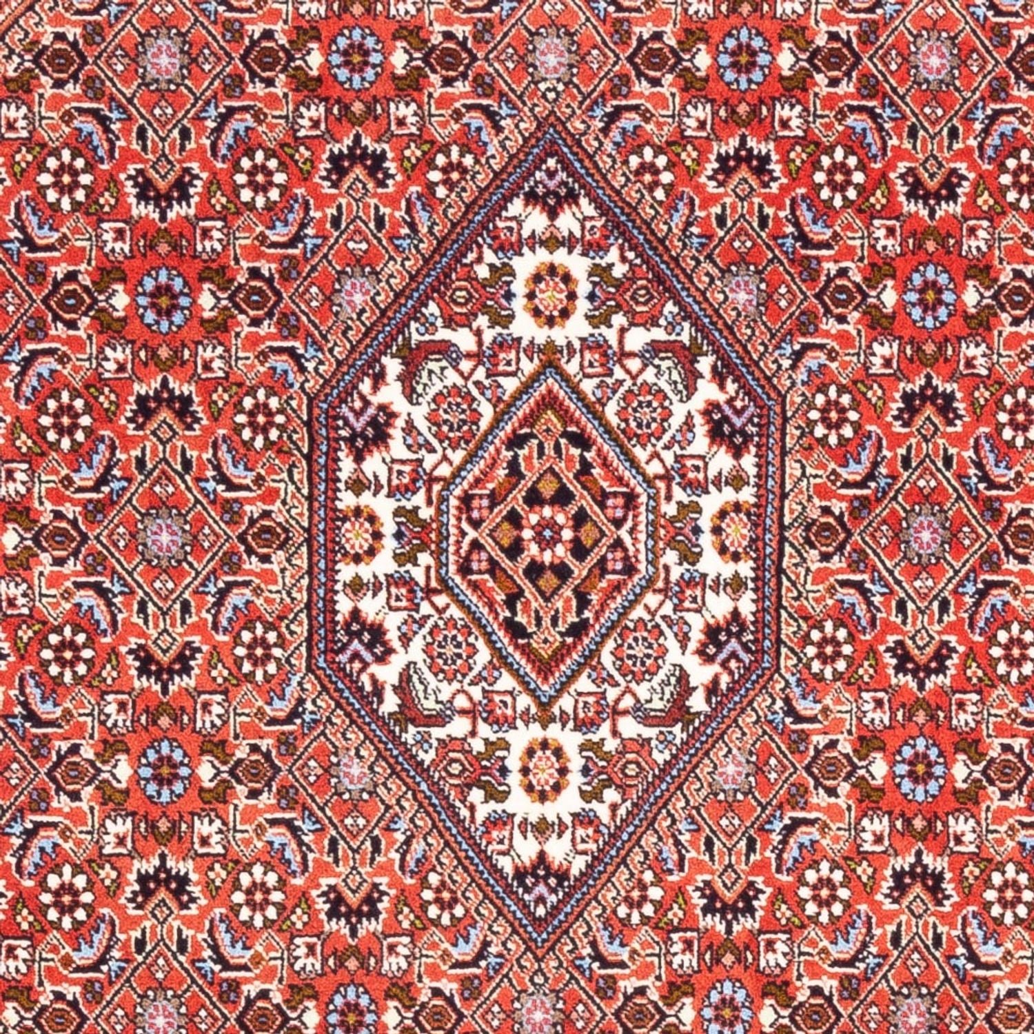 Persisk tæppe - Bijar - Royal - 177 x 106 cm - rød