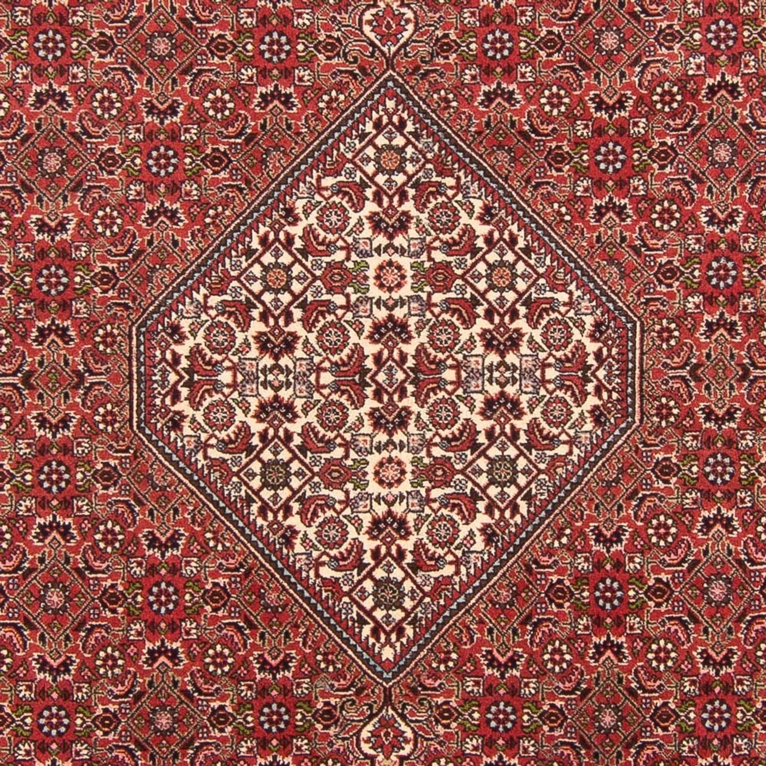 Persisk tæppe - Bijar - Royal - 290 x 202 cm - rød