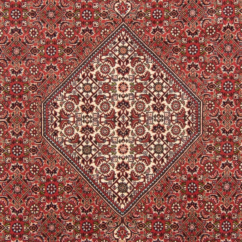 Persisk tæppe - Bijar - Royal - 290 x 202 cm - rød