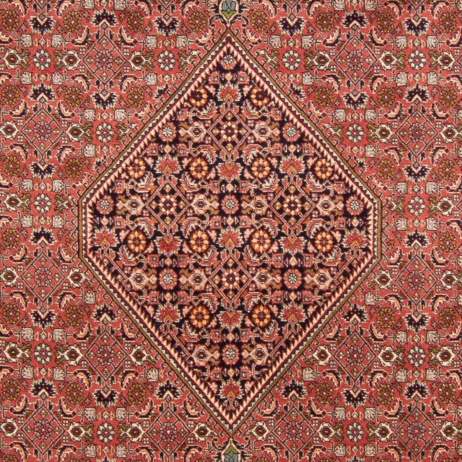 Persisk tæppe - Bijar - Royal - 300 x 200 cm - rød