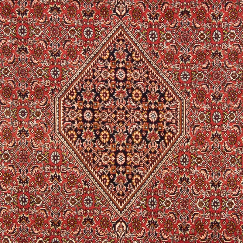 Persisk tæppe - Bijar - Royal - 290 x 200 cm - rød