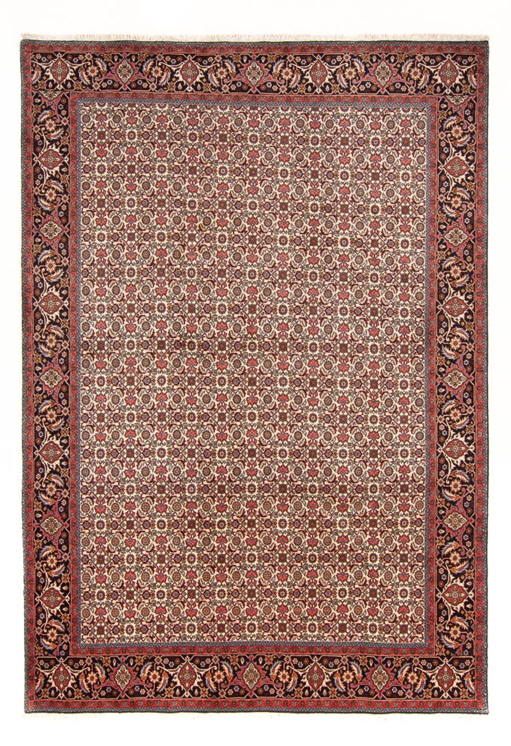 Persisk tæppe - Bijar - Royal - 290 x 200 cm - creme