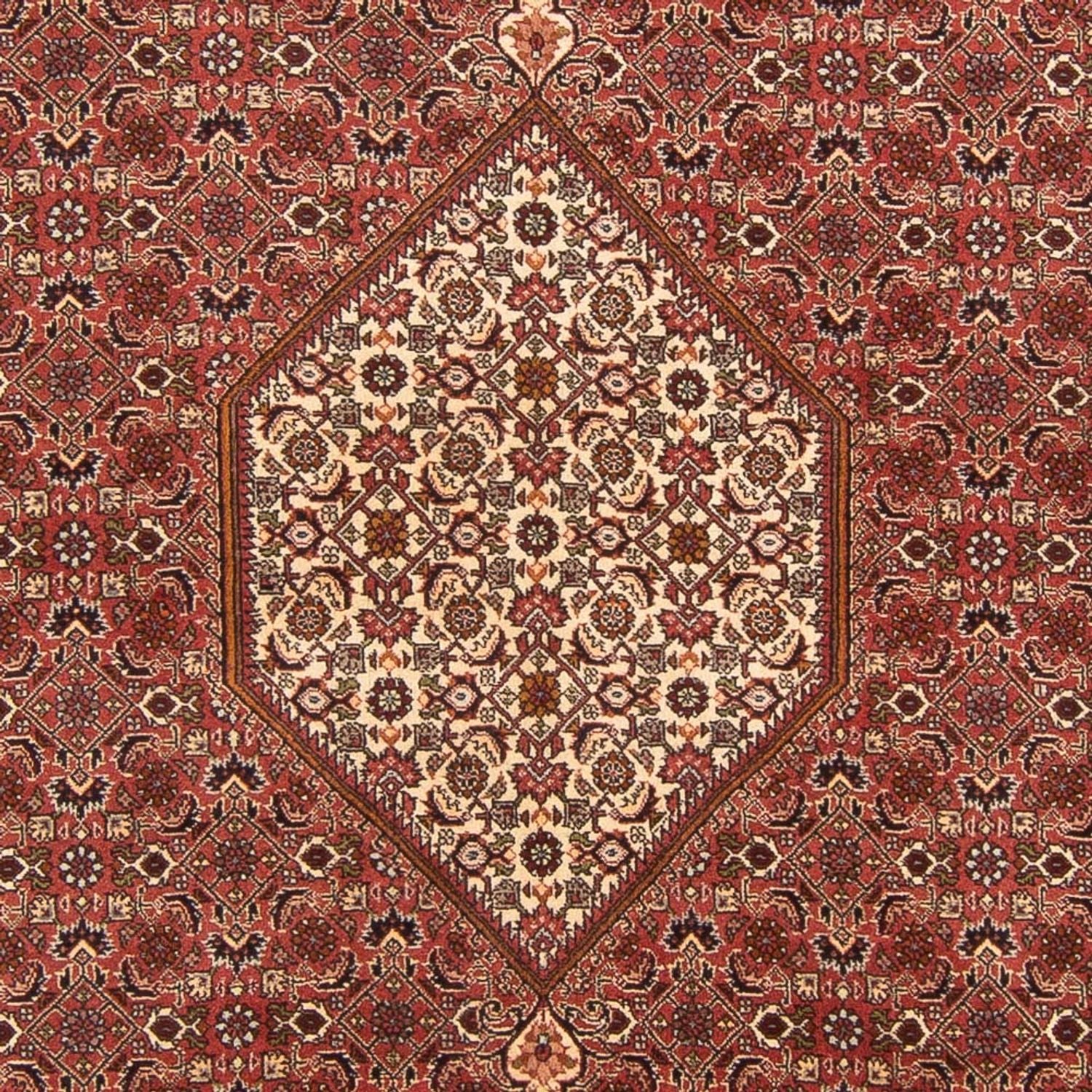 Persisk tæppe - Bijar - Royal - 292 x 200 cm - rød