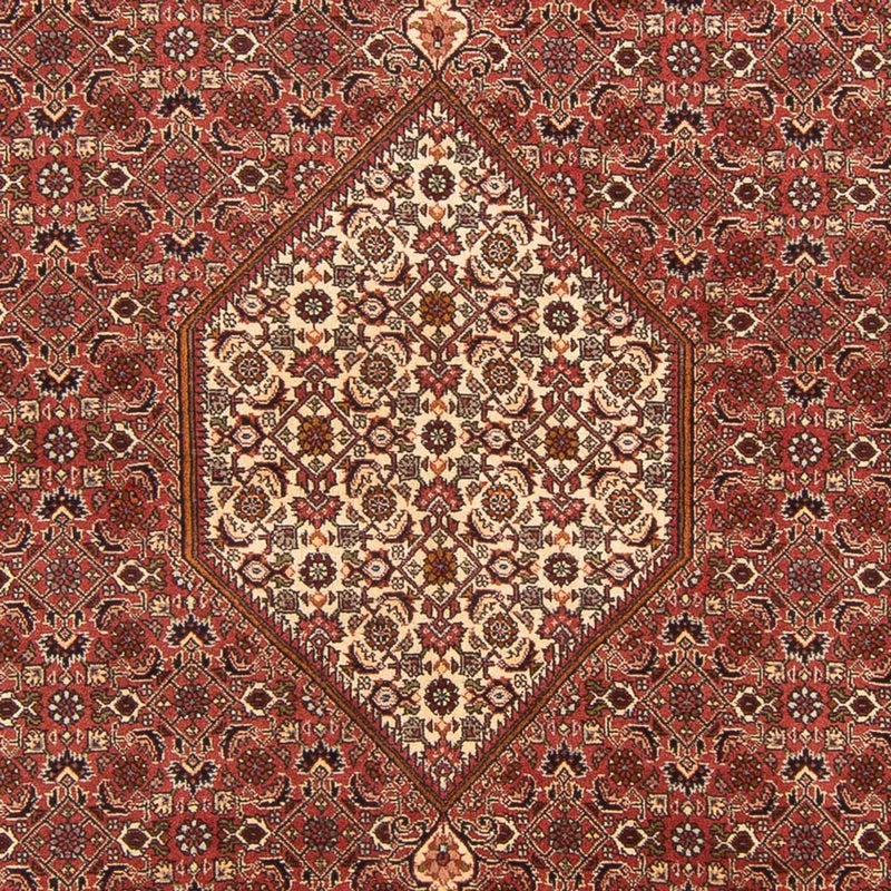 Persisk tæppe - Bijar - Royal - 292 x 200 cm - rød