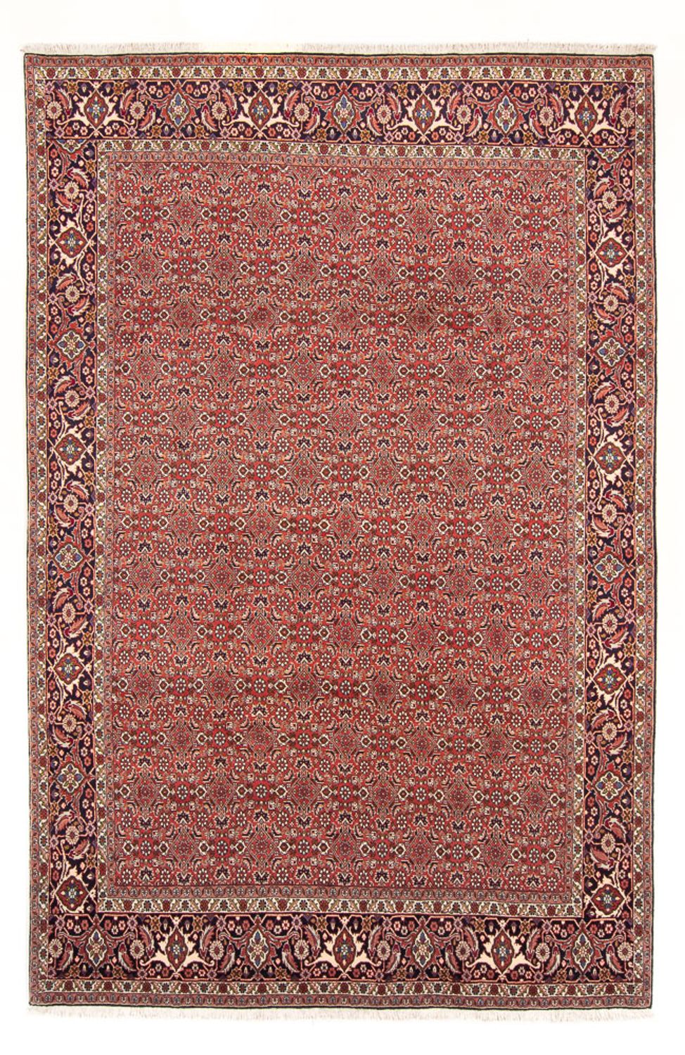 Persisk tæppe - Bijar - Royal - 305 x 200 cm - rød