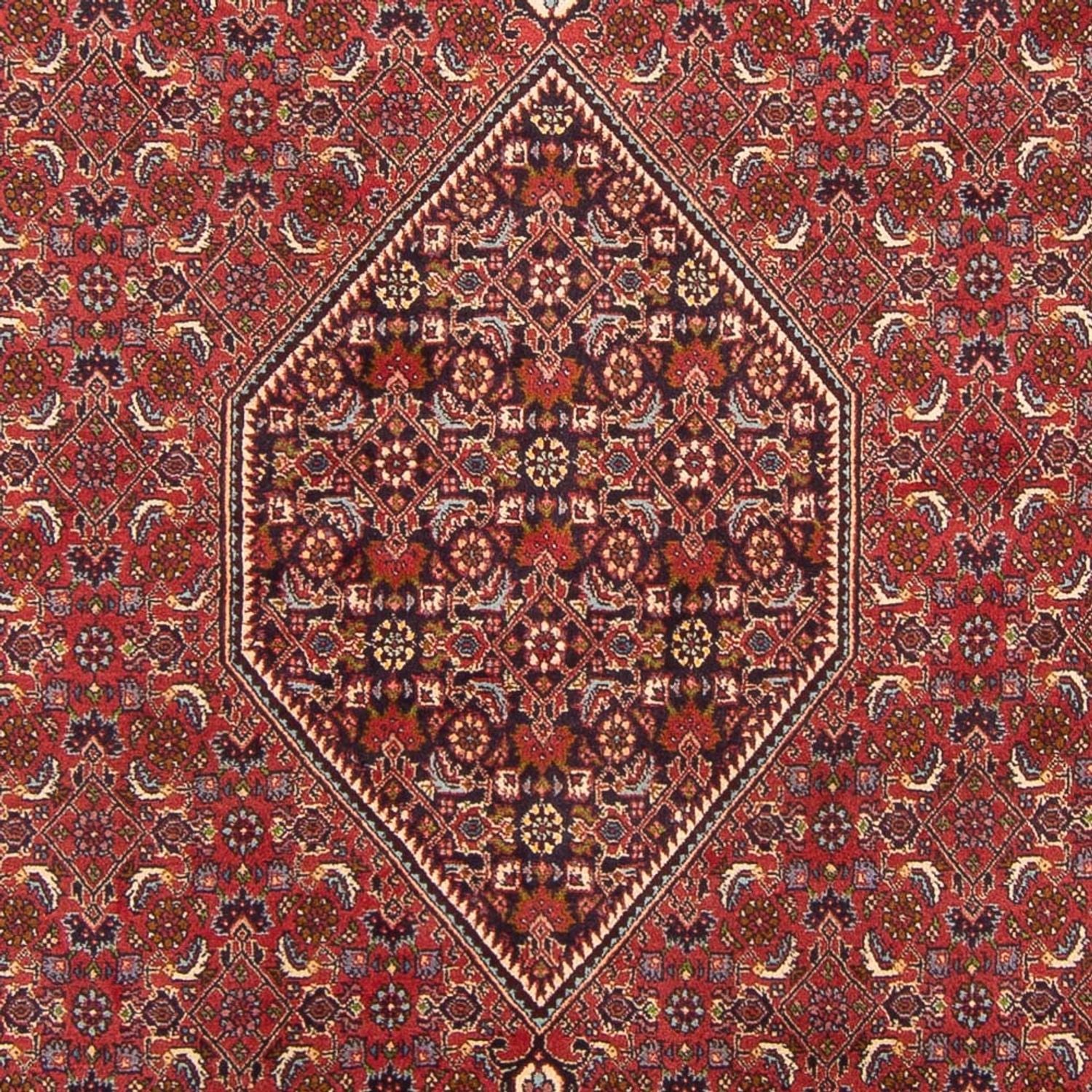 Persisk tæppe - Bijar - Royal - 301 x 200 cm - rød
