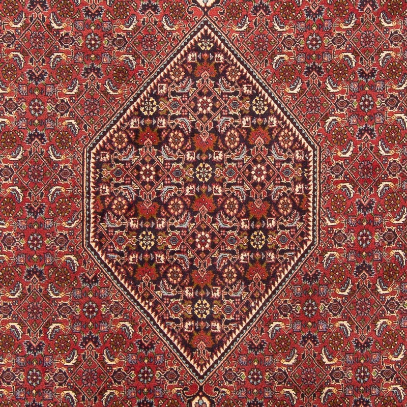 Persisk tæppe - Bijar - Royal - 301 x 200 cm - rød