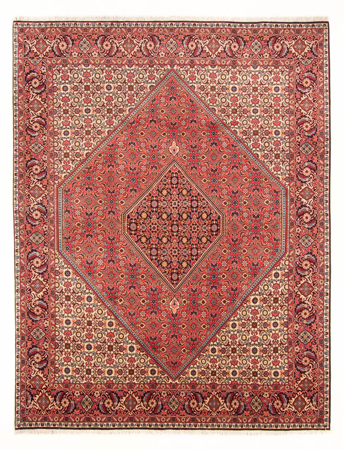 Persisk tæppe - Bijar - Royal - 260 x 200 cm - rød