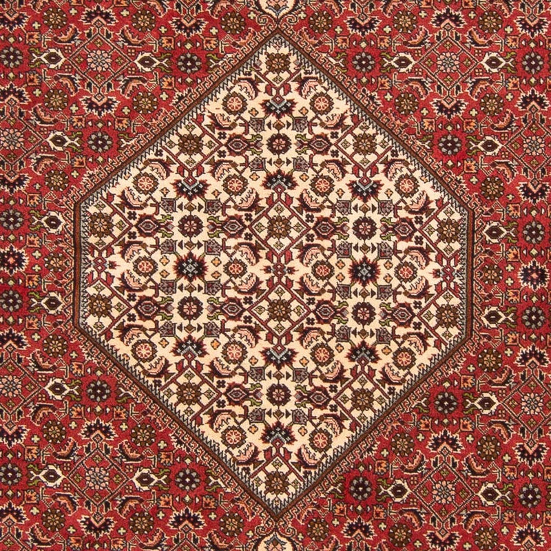 Persisk tæppe - Bijar - Royal - 260 x 200 cm - rød