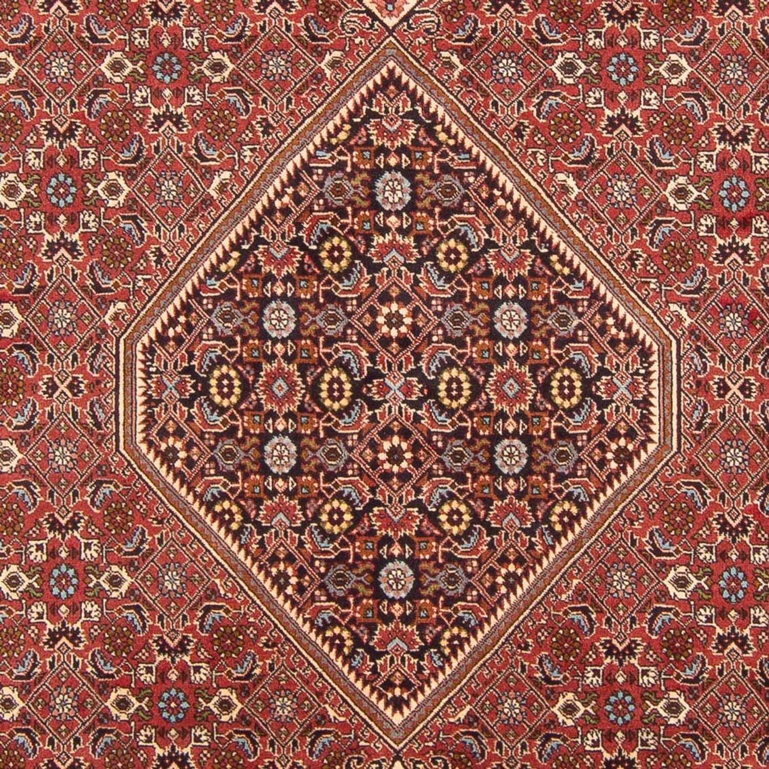 Persisk tæppe - Bijar - Royal - 307 x 203 cm - rød
