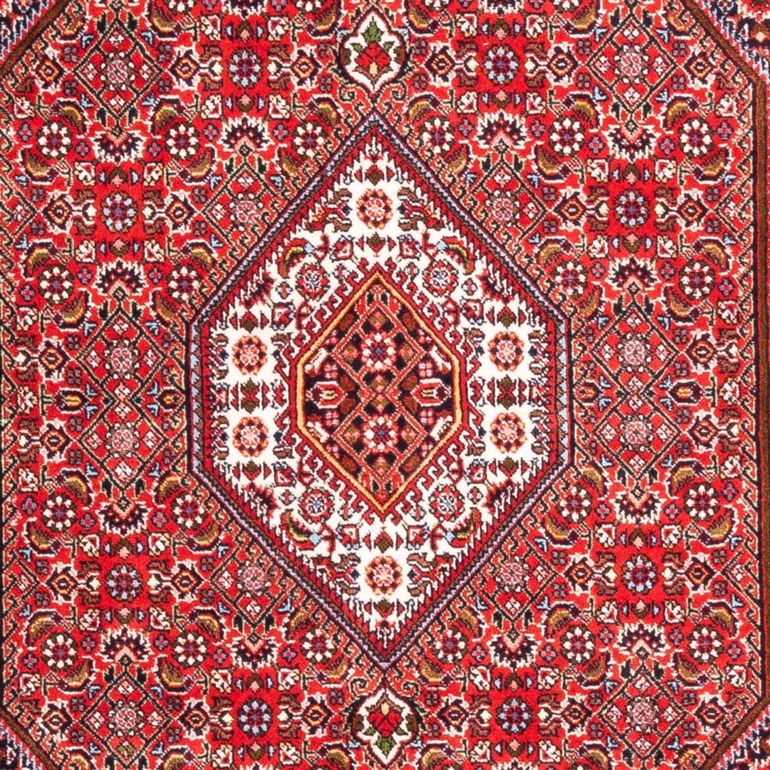 Persisk tæppe - Bijar - Royal - 170 x 110 cm - rød
