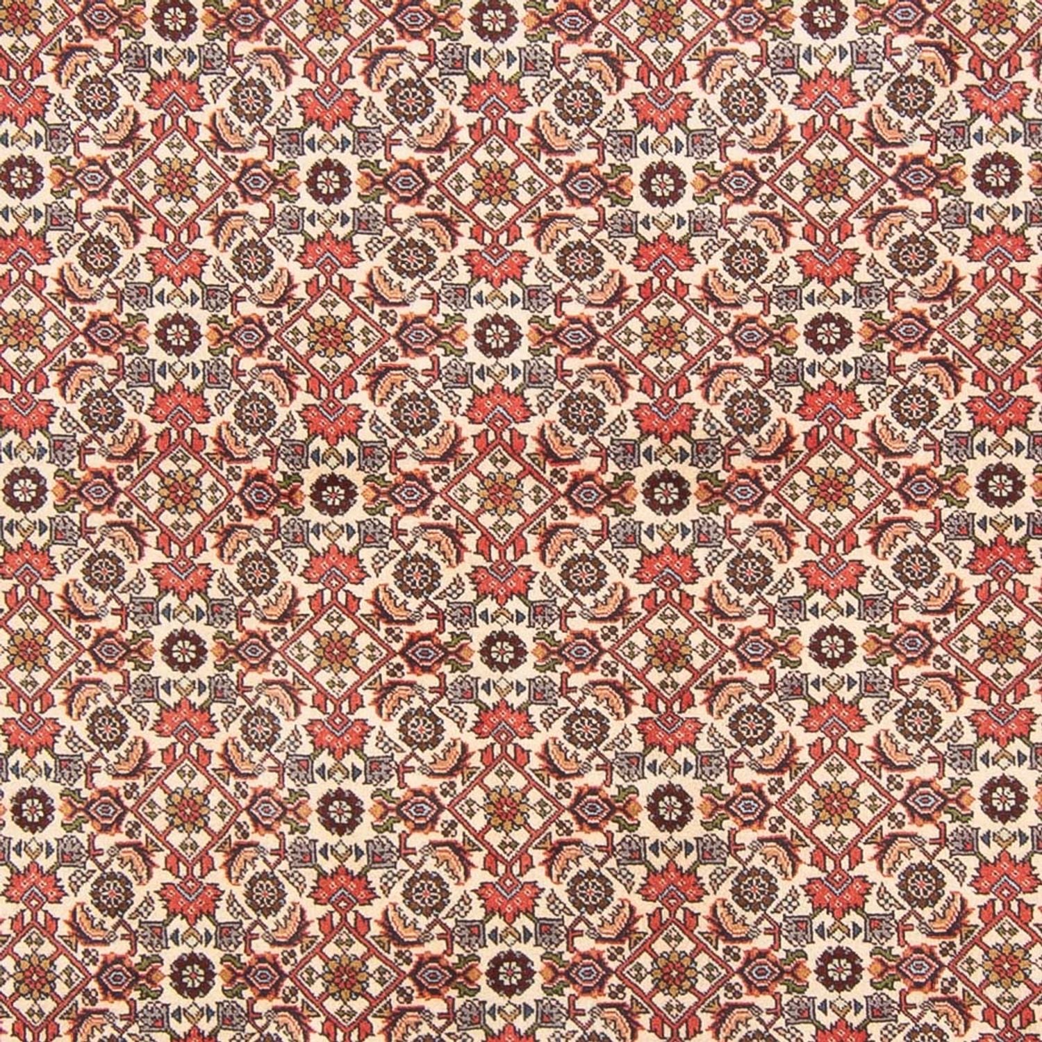 Persisk tæppe - Bijar - Royal - 294 x 200 cm - creme