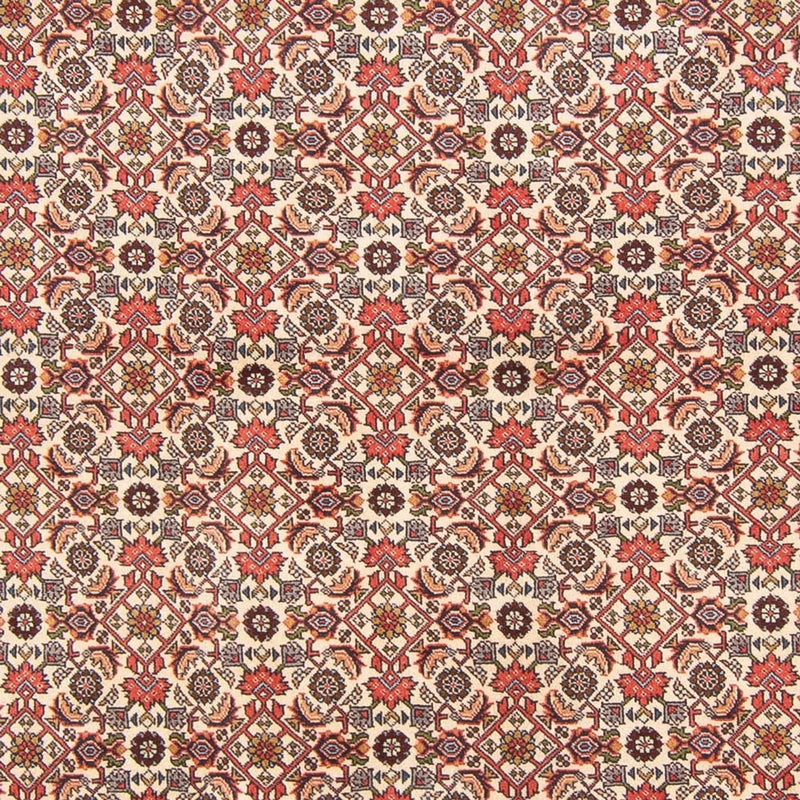 Persisk tæppe - Bijar - Royal - 294 x 200 cm - creme