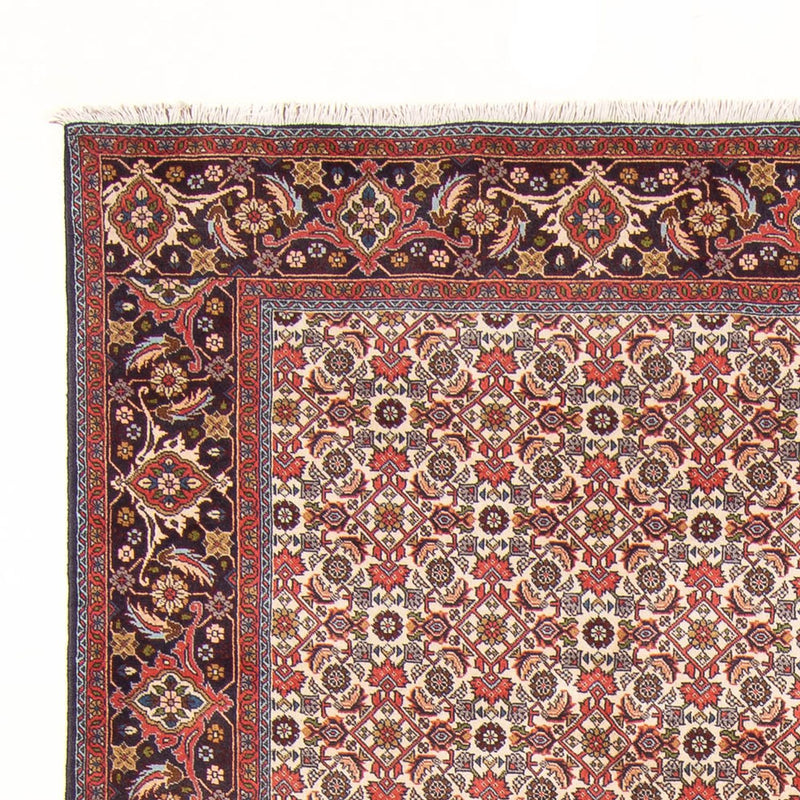 Persisk tæppe - Bijar - Royal - 294 x 200 cm - creme