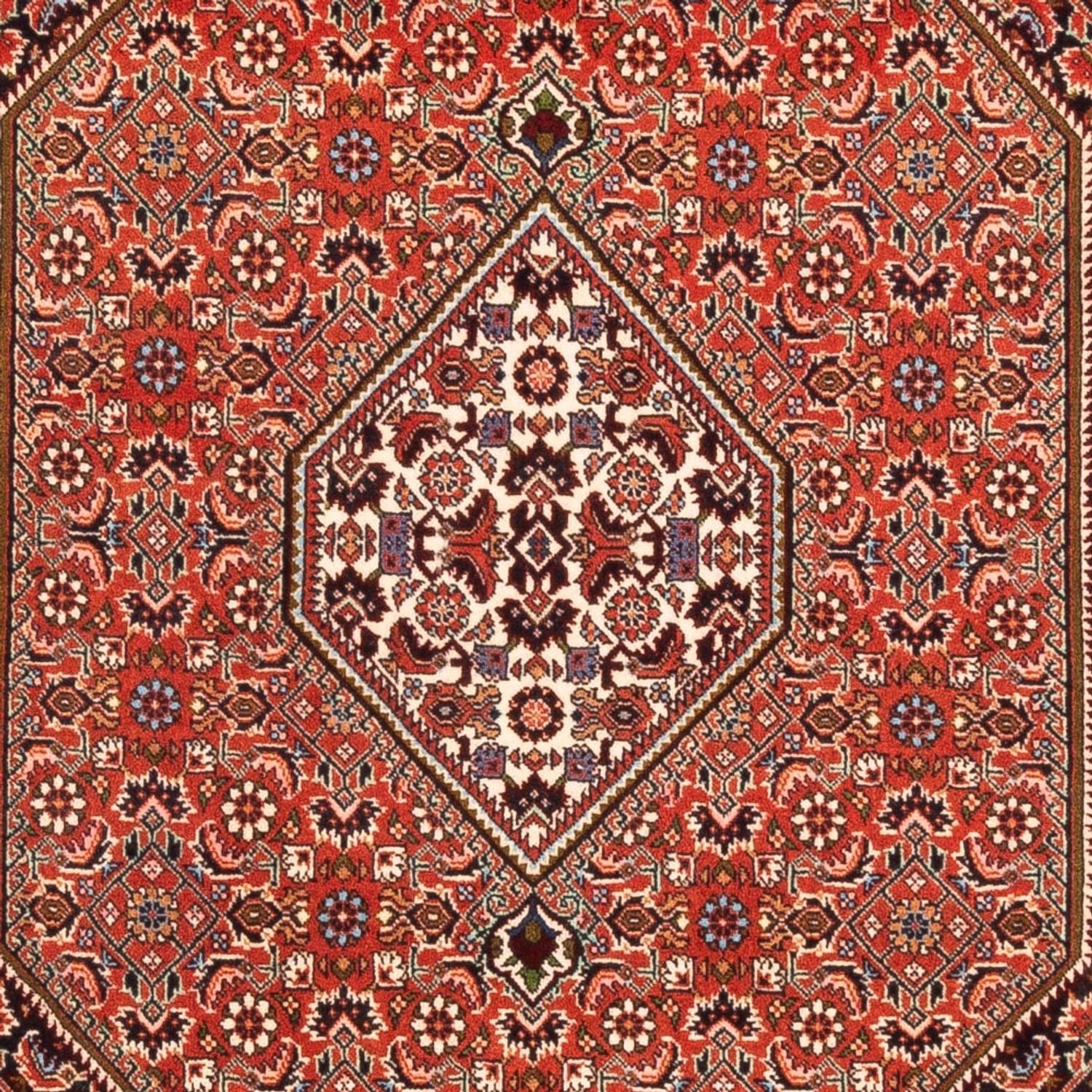 Persisk tæppe - Bijar - Royal - 169 x 113 cm - rød
