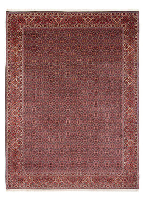 Persisk tæppe - Bijar - Royal - 337 x 260 cm - mørkeblå