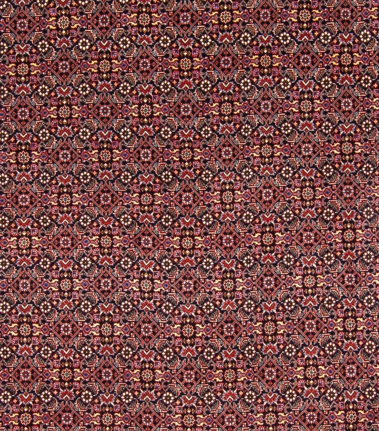 Persisk tæppe - Bijar - Royal - 337 x 260 cm - mørkeblå