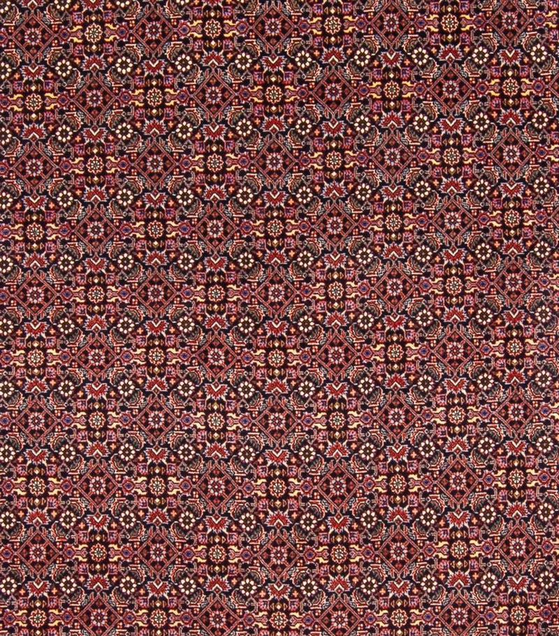Persisk tæppe - Bijar - Royal - 337 x 260 cm - mørkeblå