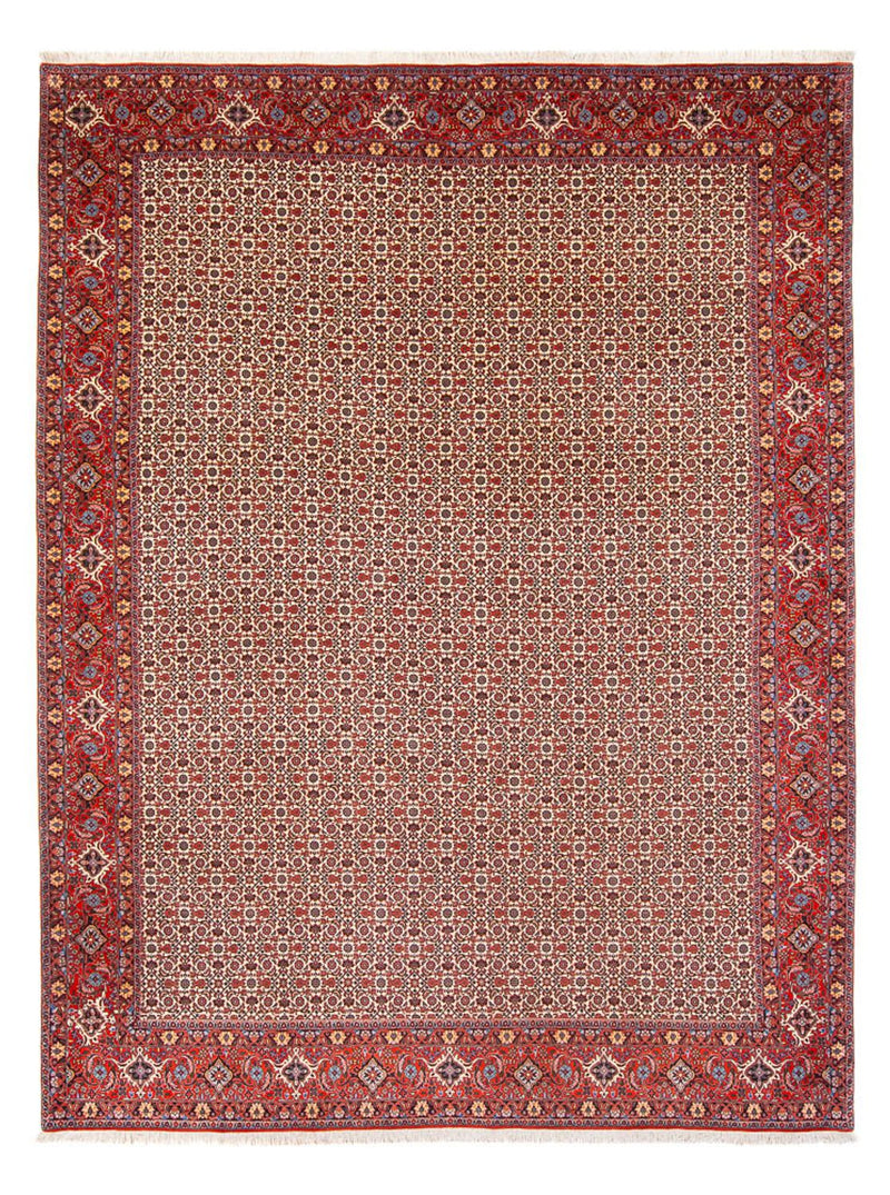 Persisk tæppe - Bijar - Royal - 343 x 260 cm - creme