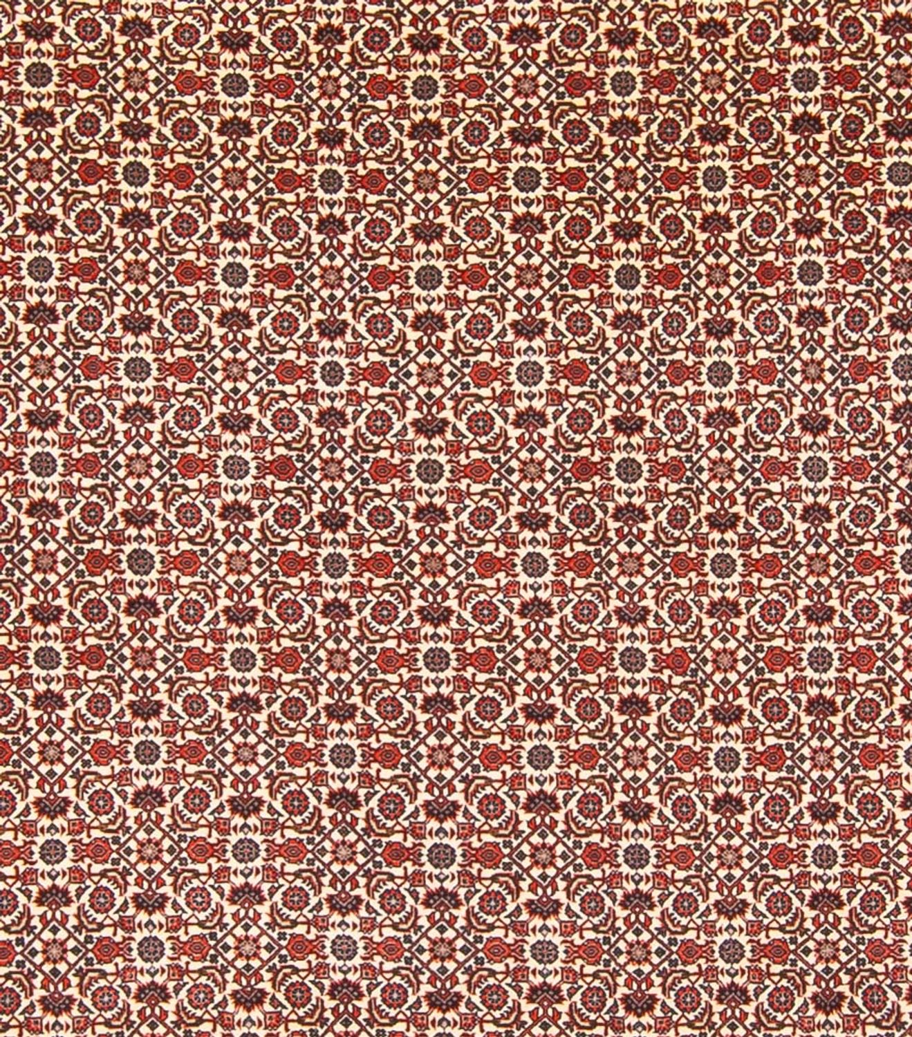 Persisk tæppe - Bijar - Royal - 343 x 260 cm - creme