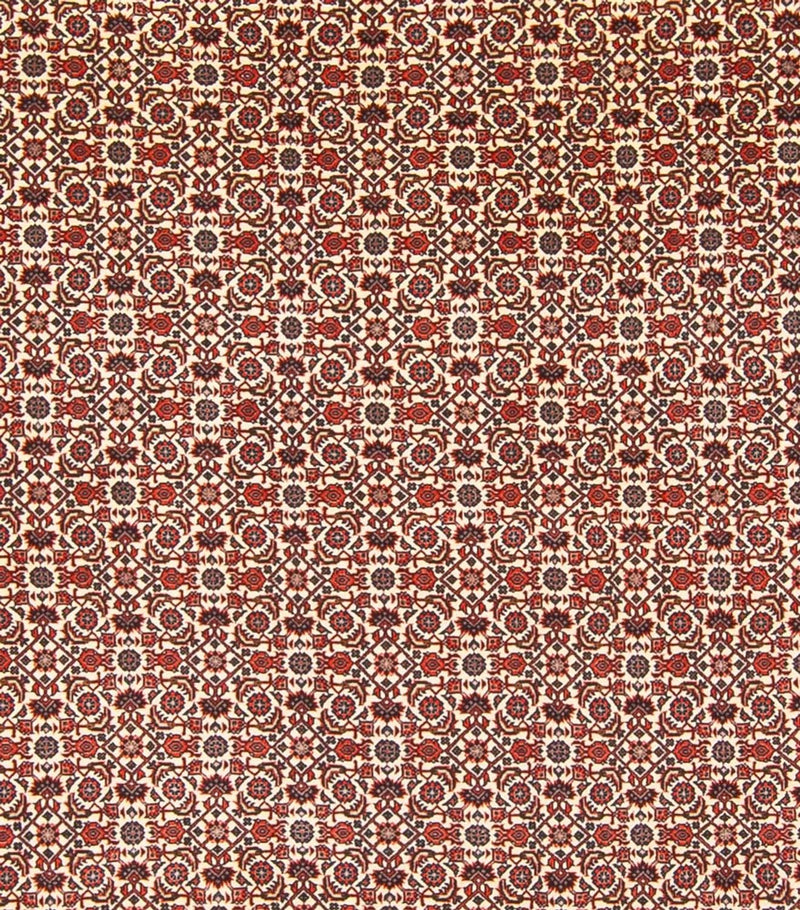 Persisk tæppe - Bijar - Royal - 343 x 260 cm - creme
