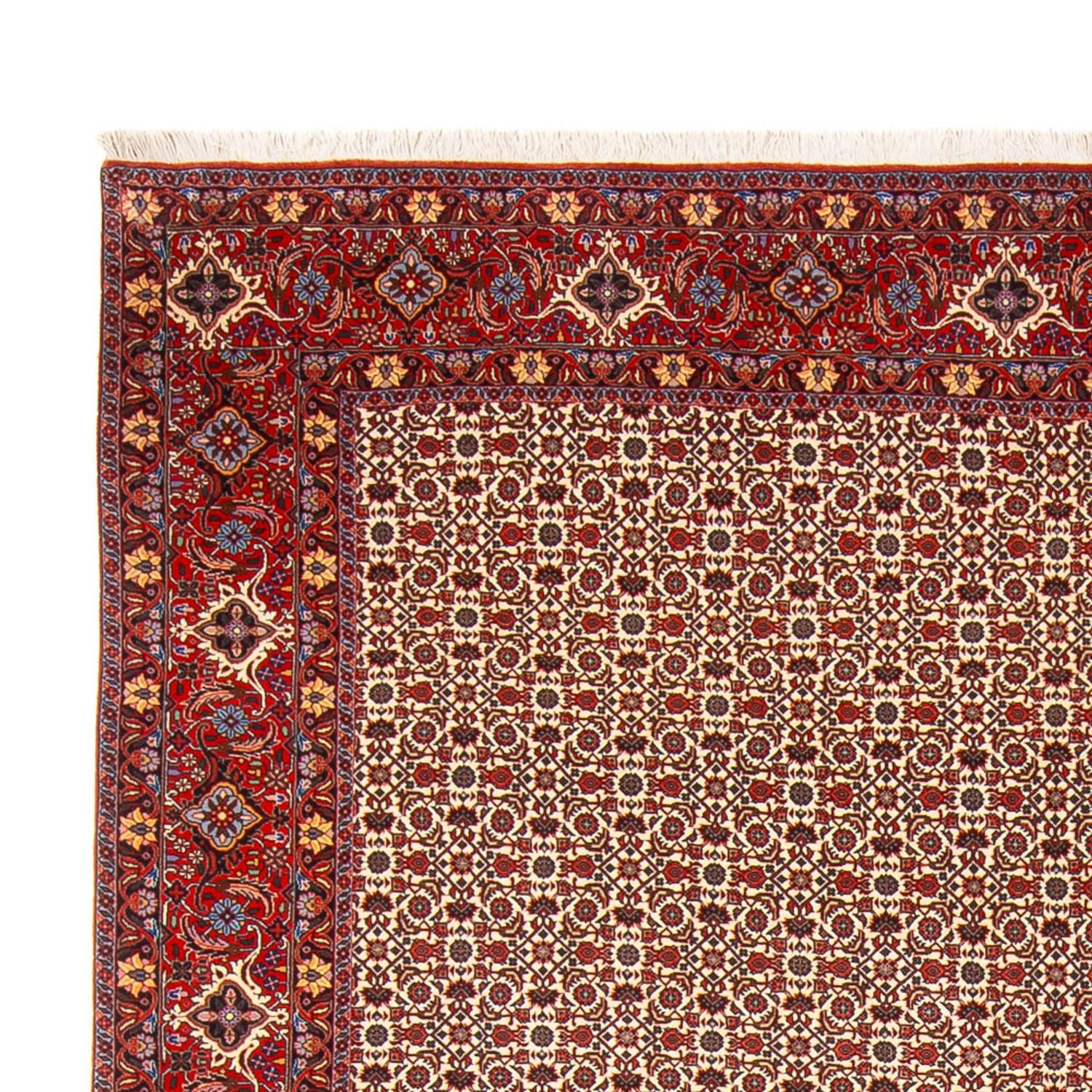 Persisk tæppe - Bijar - Royal - 343 x 260 cm - creme