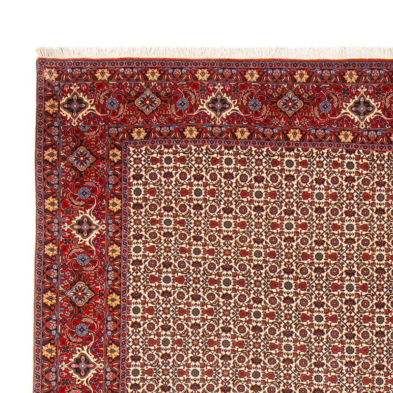 Persisk tæppe - Bijar - Royal - 343 x 260 cm - creme