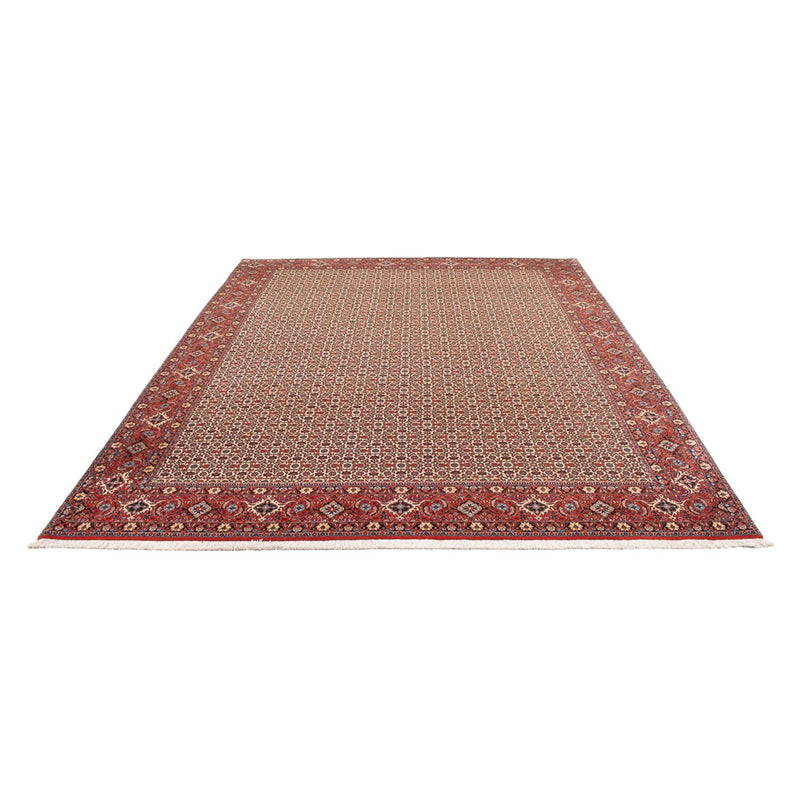 Persisk tæppe - Bijar - Royal - 343 x 260 cm - creme