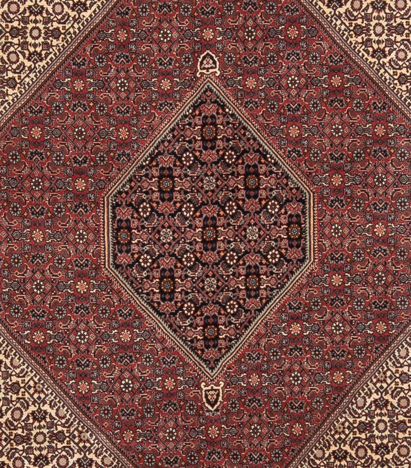 Persisk tæppe - Bijar - Royal - 345 x 250 cm - mørkerød