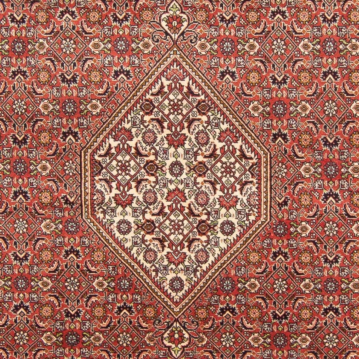 Persisk tæppe - Bijar - Royal - 293 x 197 cm - rød