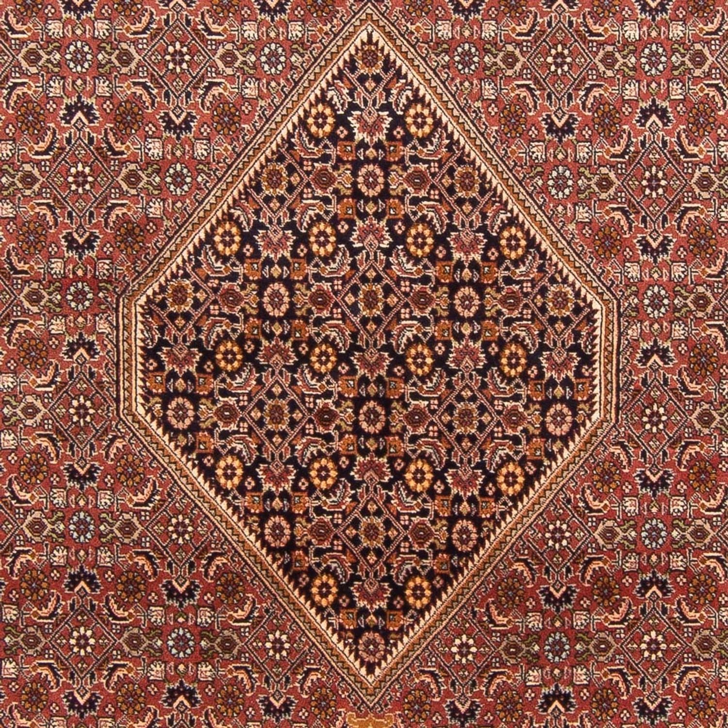 Persisk tæppe - Bijar - Royal - 300 x 197 cm - rød