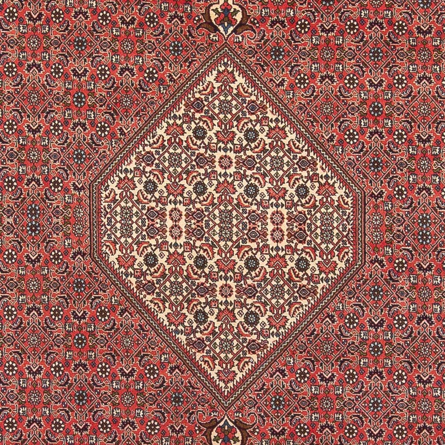 Persisk tæppe - Bijar - Royal - 395 x 300 cm - lysrød