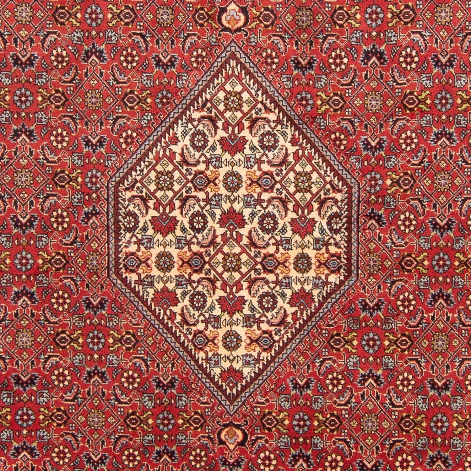 Persisk tæppe - Bijar - Royal - 293 x 206 cm - rød