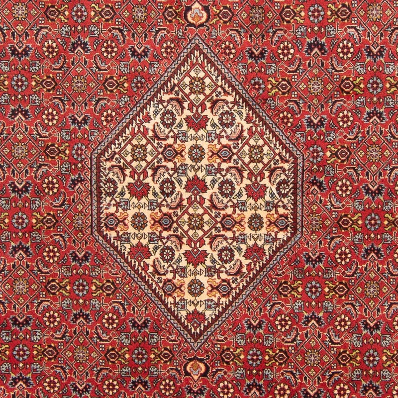 Persisk tæppe - Bijar - Royal - 293 x 206 cm - rød