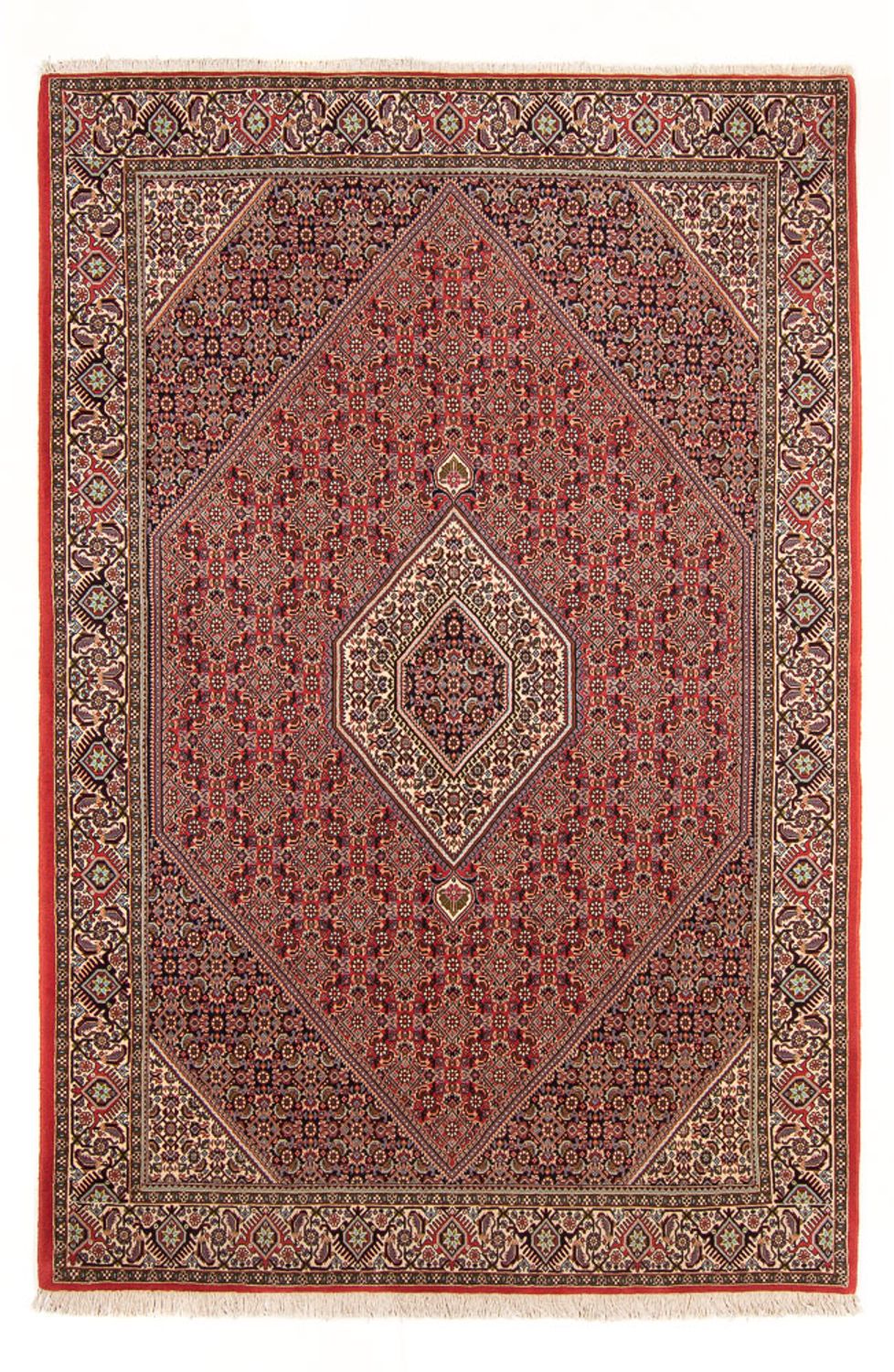 Persisk tæppe - Bijar - Royal - 294 x 200 cm - rød