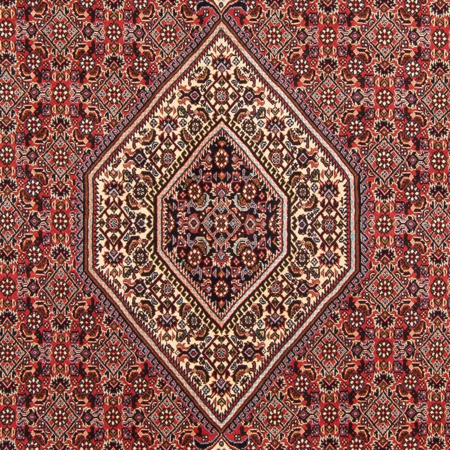 Persisk tæppe - Bijar - Royal - 294 x 200 cm - rød