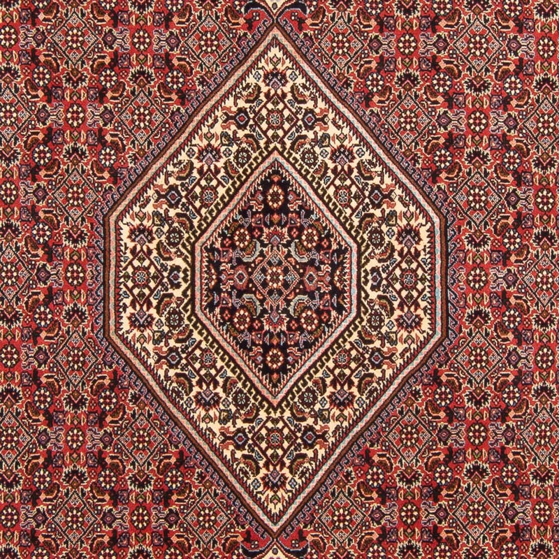 Persisk tæppe - Bijar - Royal - 294 x 200 cm - rød