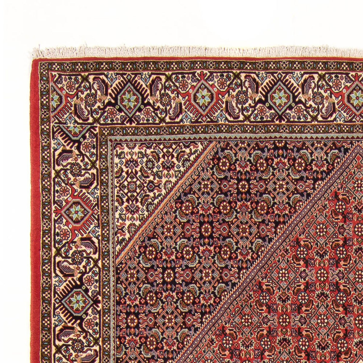 Persisk tæppe - Bijar - Royal - 294 x 200 cm - rød