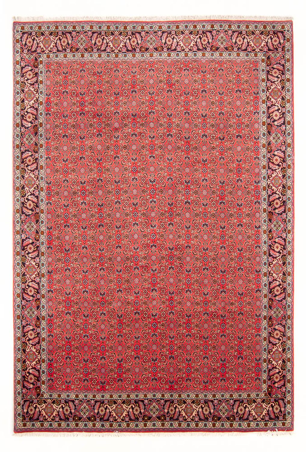 Persisk tæppe - Bijar - Royal - 294 x 200 cm - rød