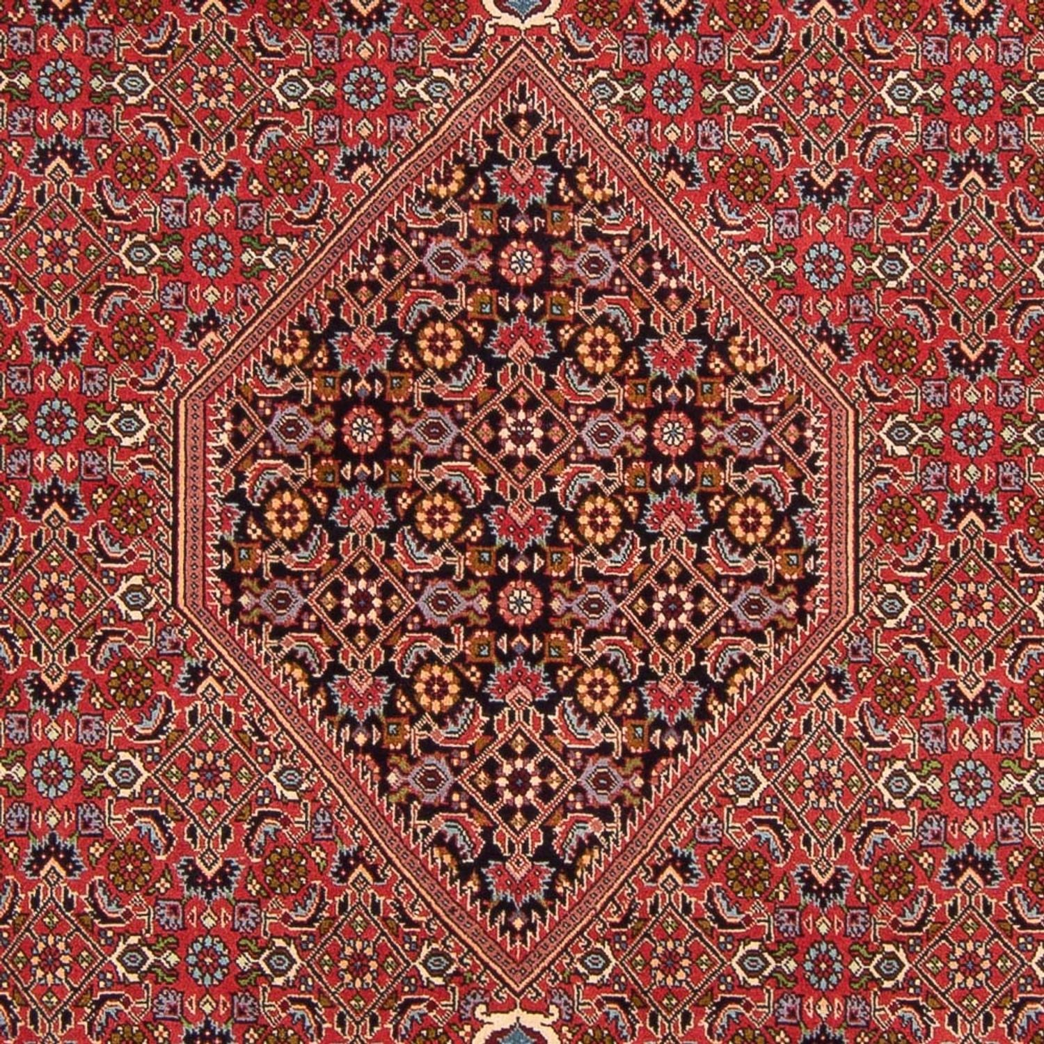 Persisk tæppe - Bijar - Royal - 307 x 200 cm - rød