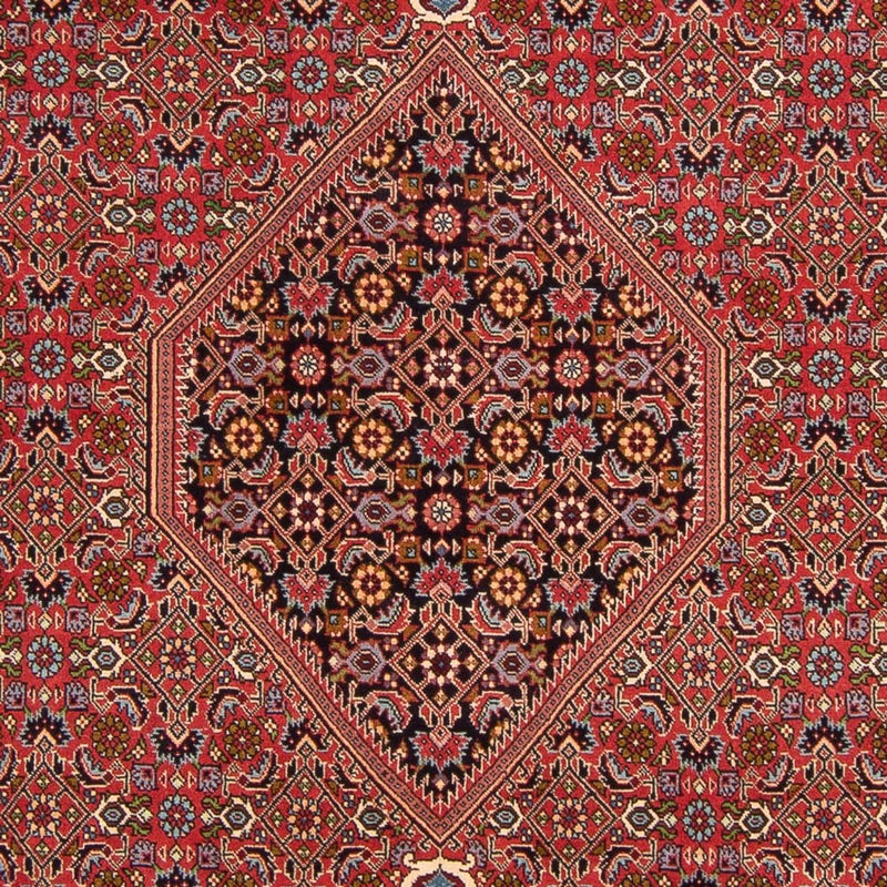 Persisk tæppe - Bijar - Royal - 307 x 200 cm - rød