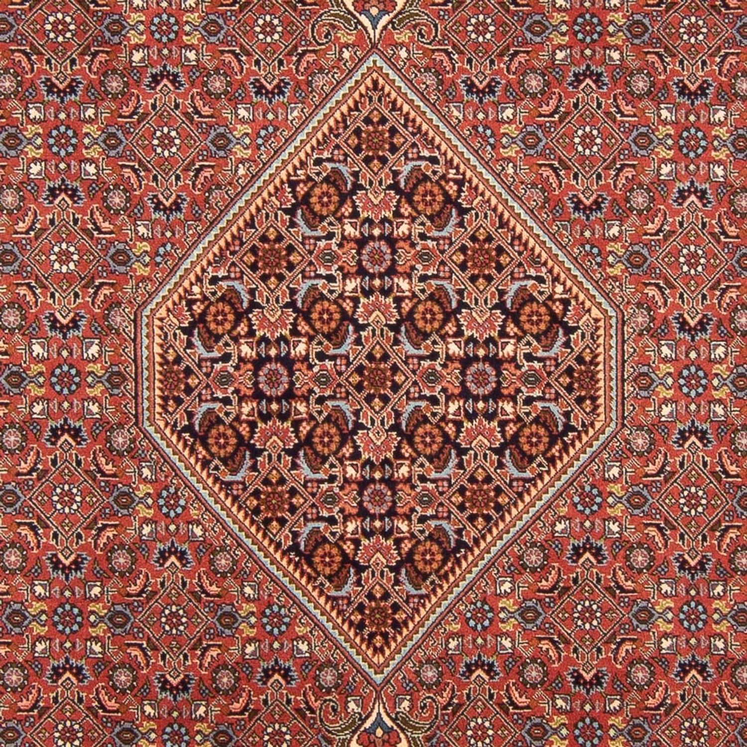Persisk tæppe - Bijar - Royal - 296 x 197 cm - rød