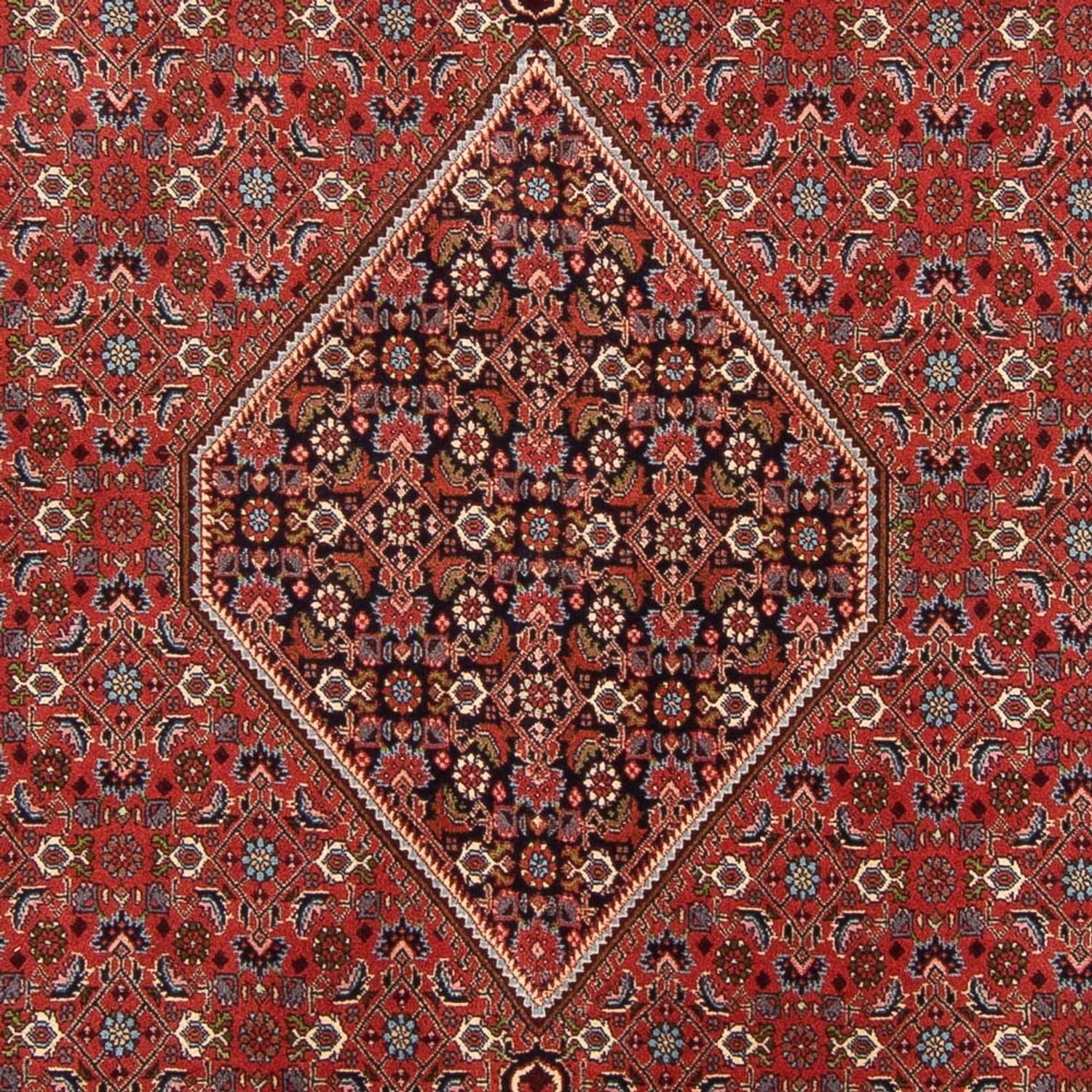 Persisk tæppe - Bijar - Royal - 310 x 200 cm - rød