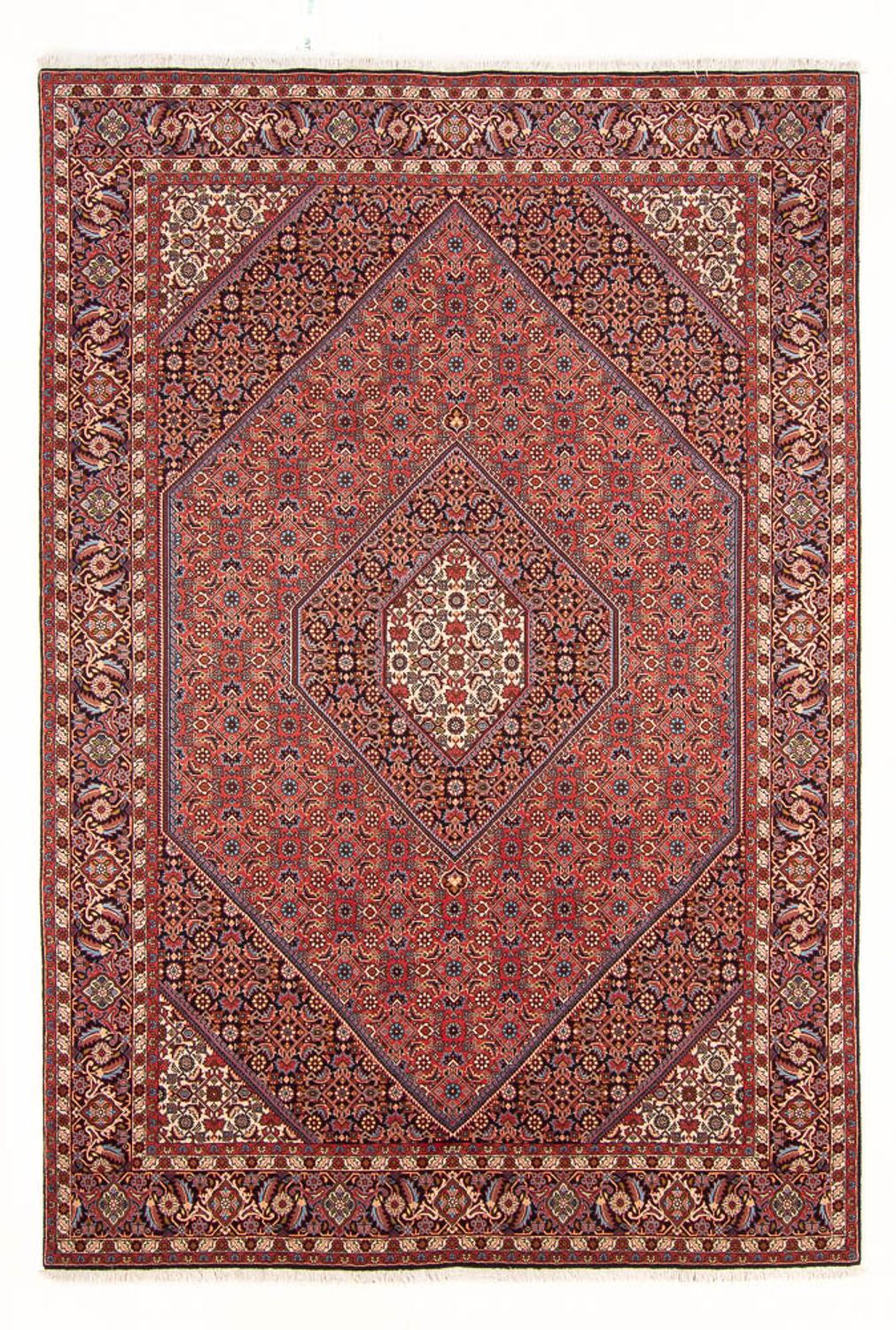 Persisk tæppe - Bijar - Royal - 298 x 200 cm - rød