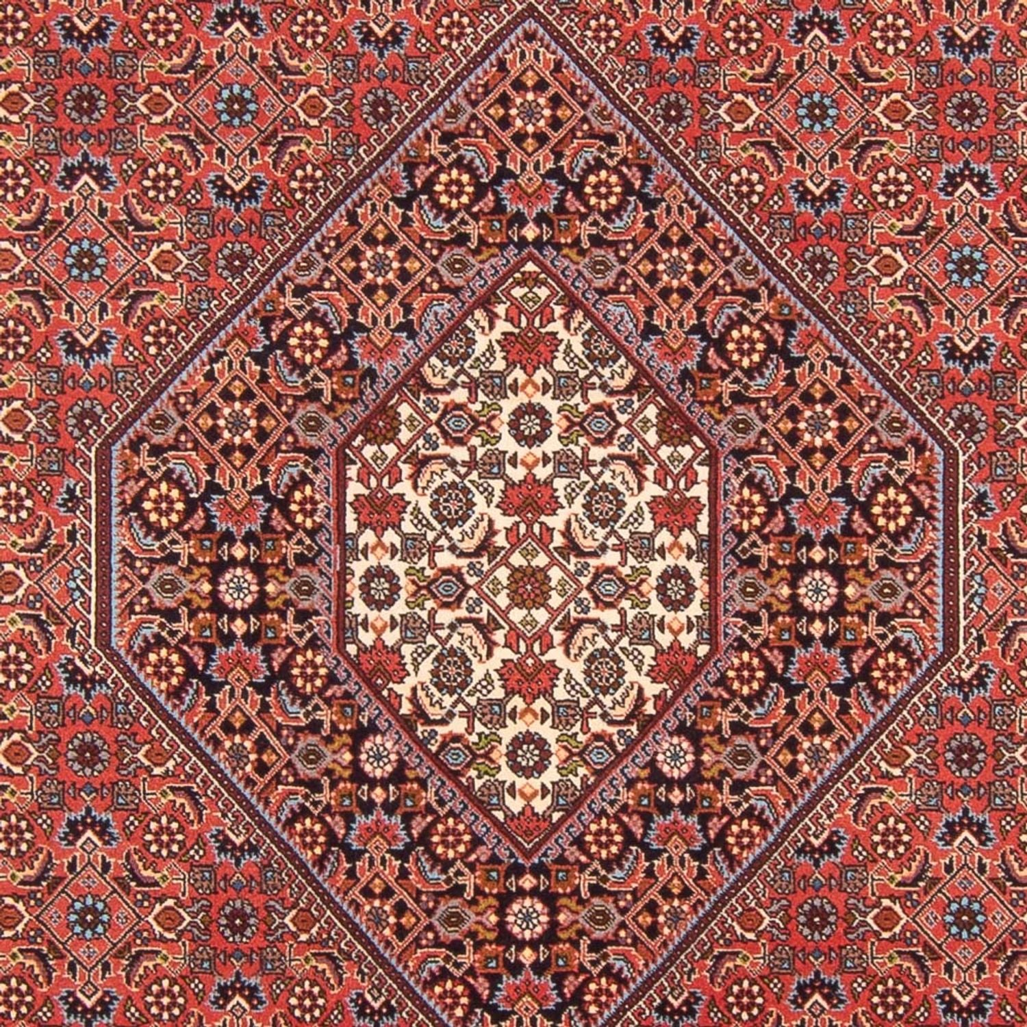 Persisk tæppe - Bijar - Royal - 298 x 200 cm - rød