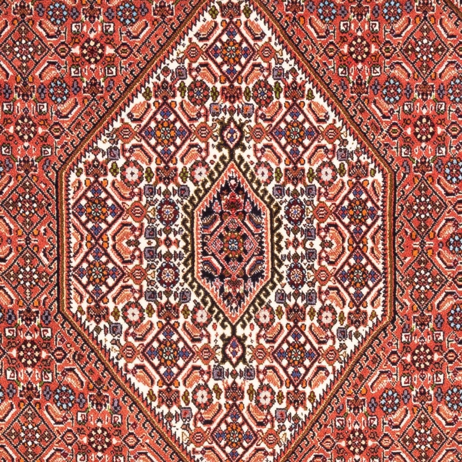 Persisk tæppe - Bijar - Royal - 187 x 114 cm - rød